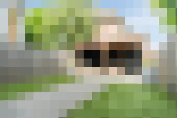 Vogelhei 16 Best thumbnail 5