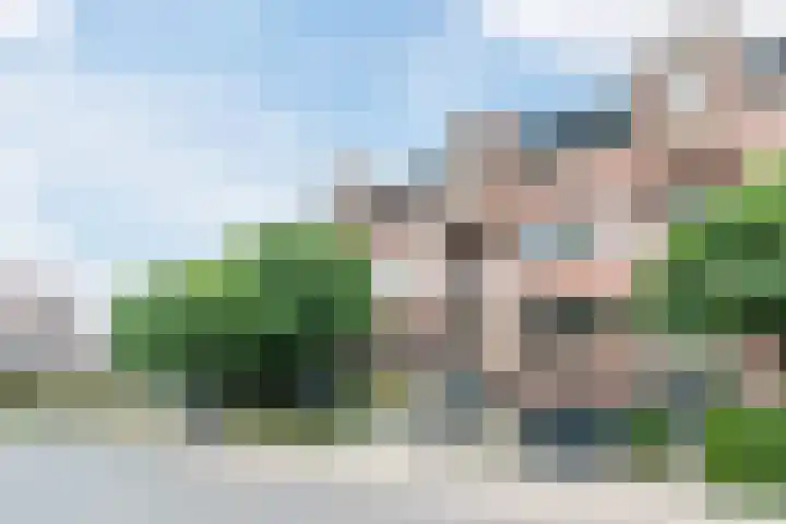 Vogelhei 16 Best thumbnail 6