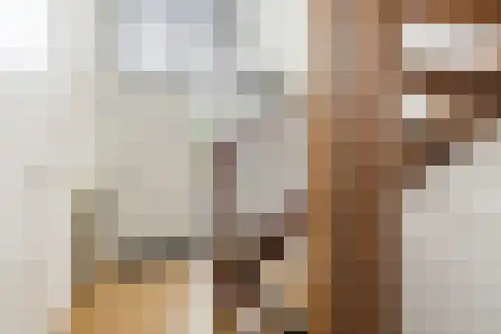 Vogelhei 16 Best thumbnail 8