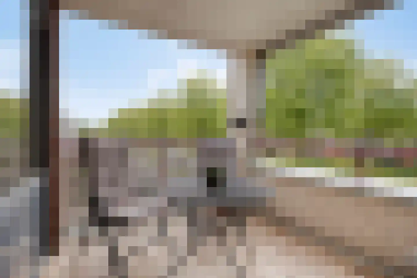 Vogelhei 17 Best thumbnail 16