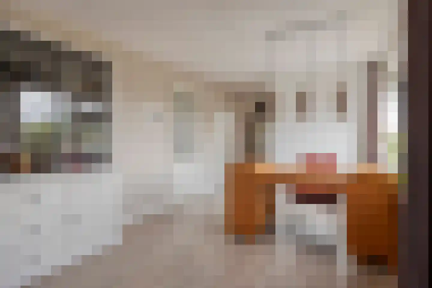 Vogelhei 17 Best thumbnail 17