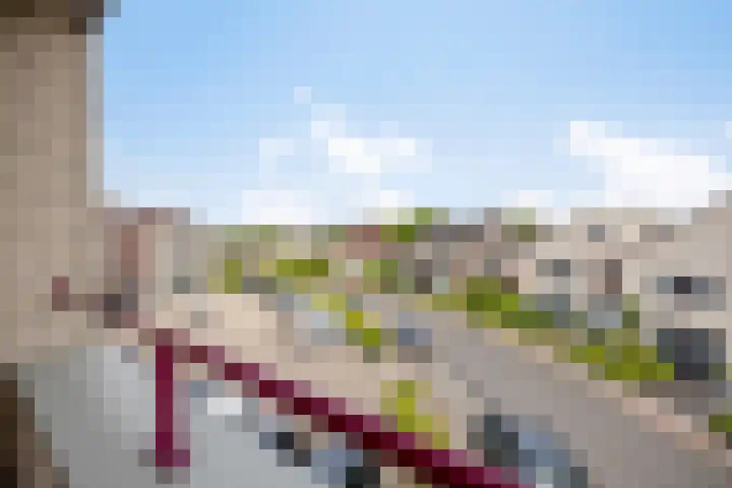 Vogelhei 17 Best thumbnail 23