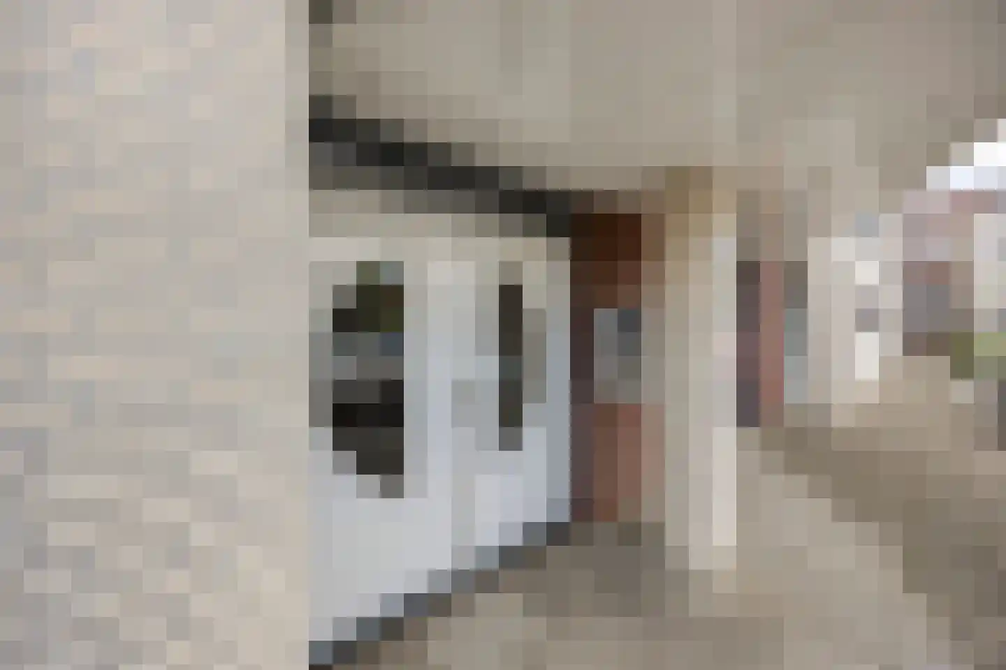 Vogelhei 17 Best thumbnail 32
