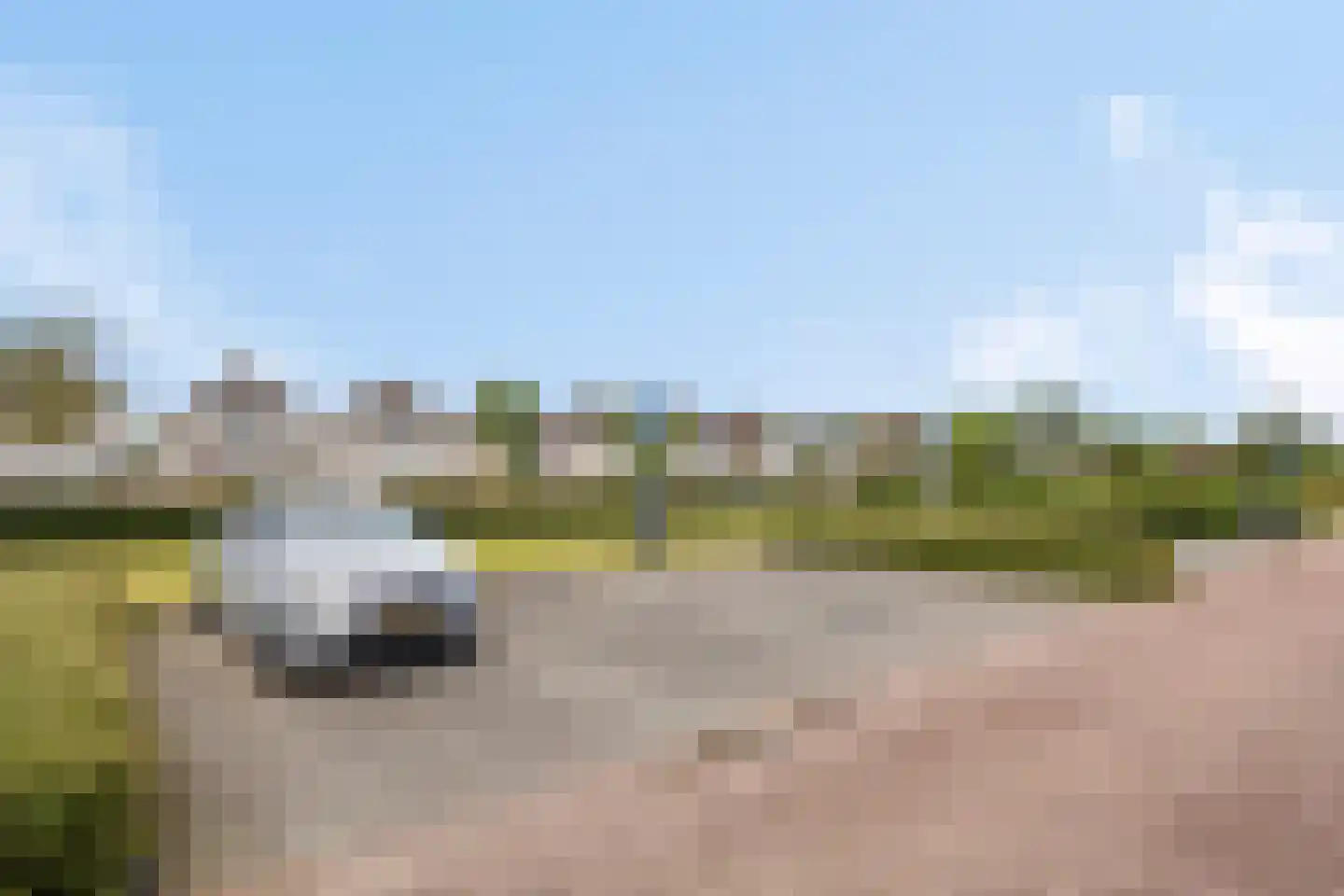 Vogelhei 17 Best thumbnail 35