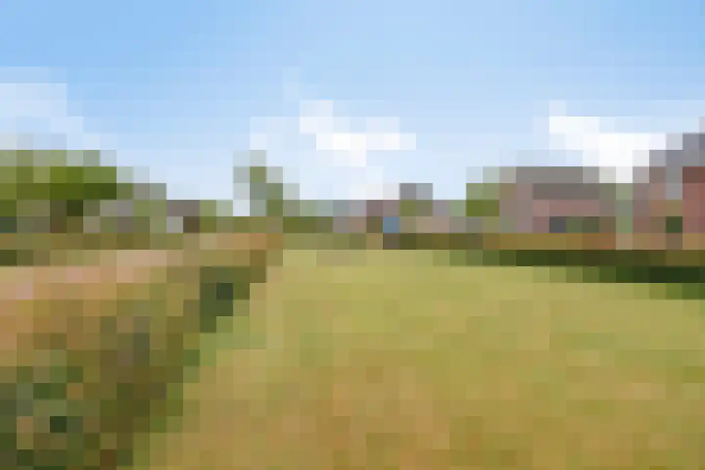 Vogelhei 17 Best thumbnail 36
