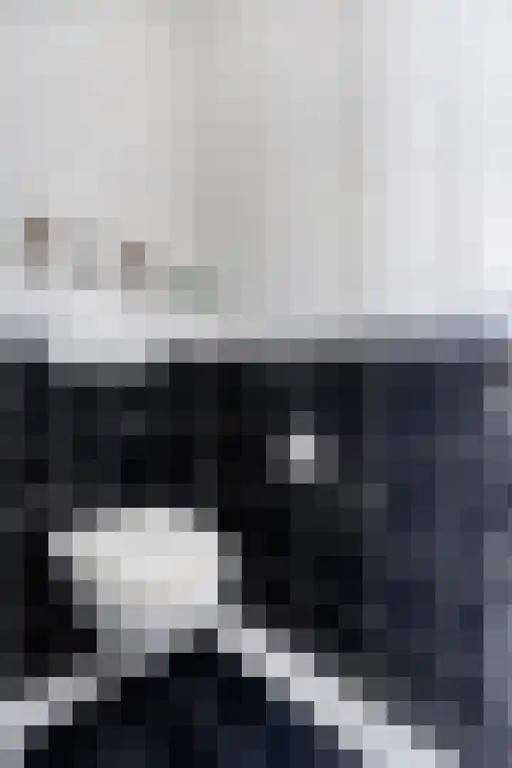 Vogelhei 2 Best thumbnail 10