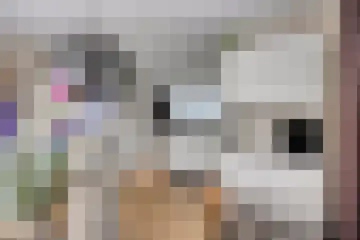Vogelhei 2 Best thumbnail 13