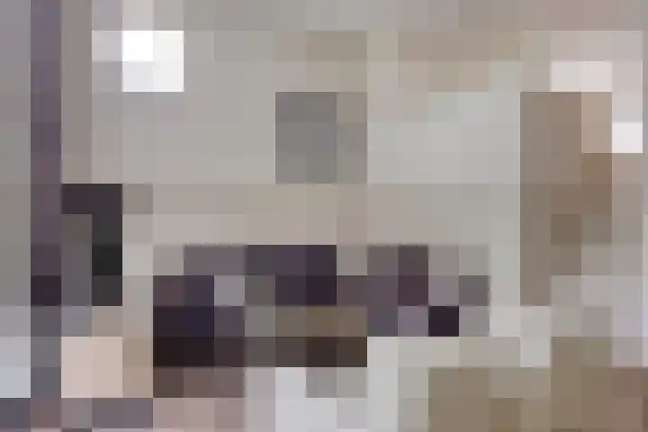 Vogelhei 2 Best thumbnail 18