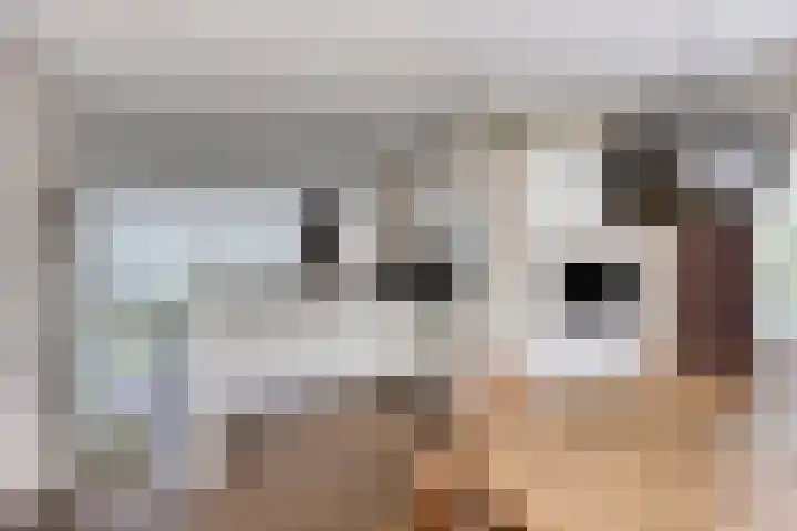 Vogelhei 2 Best foto 2