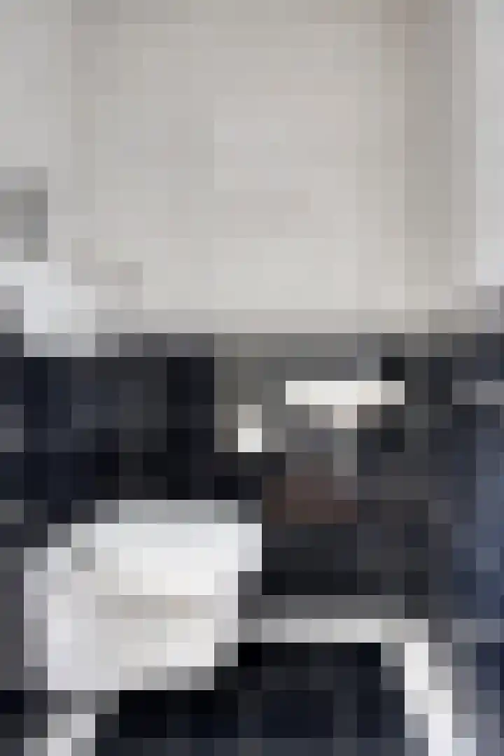 Vogelhei 2 Best thumbnail 20