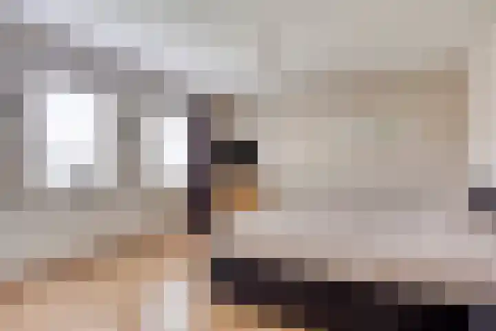 Vogelhei 2 Best thumbnail 21