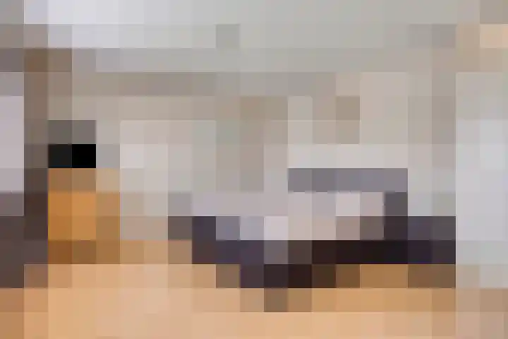 Vogelhei 2 Best thumbnail 22
