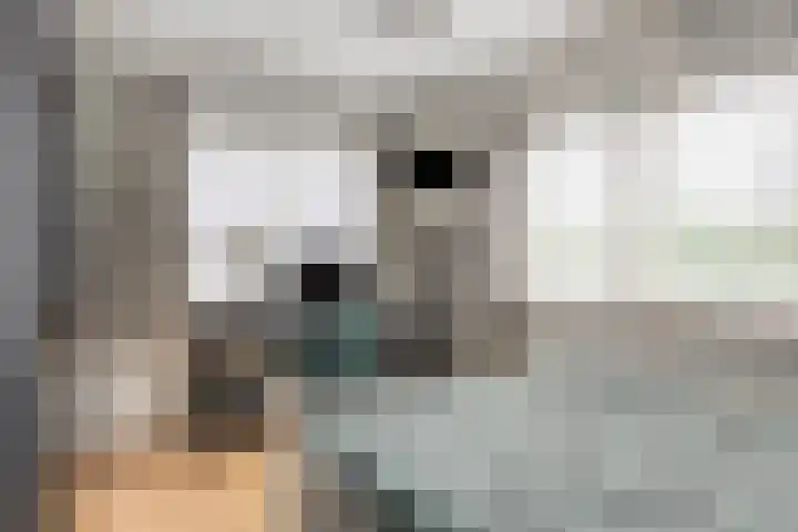 Vogelhei 2 Best thumbnail 23