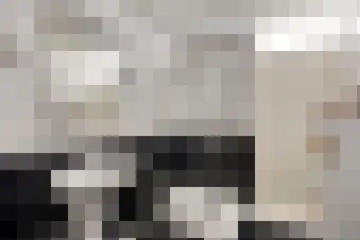 Vogelhei 2 Best thumbnail 26