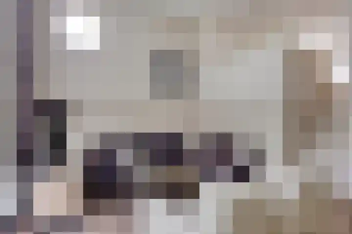 Vogelhei 2 Best foto 3