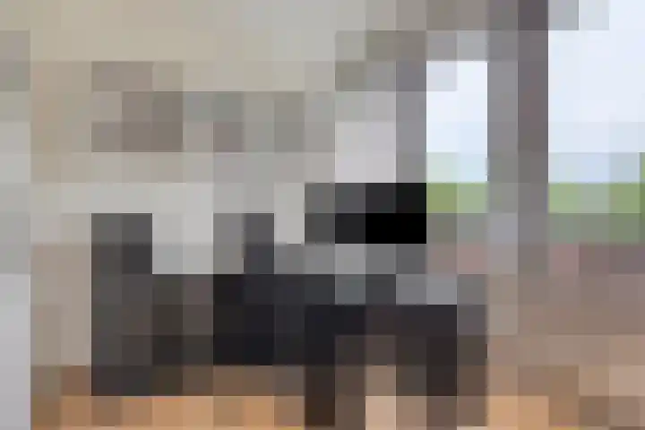 Vogelhei 2 Best thumbnail 30
