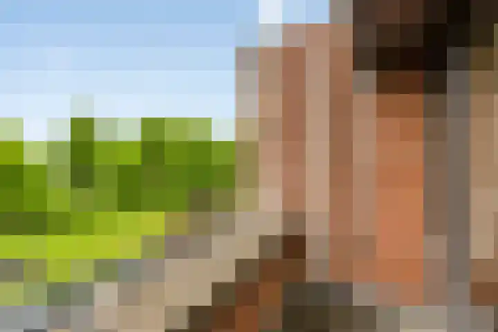 Vogelhei 2 Best thumbnail 31