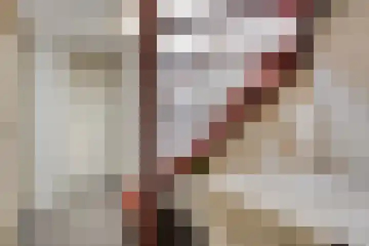 Vogelhei 2 Best thumbnail 33