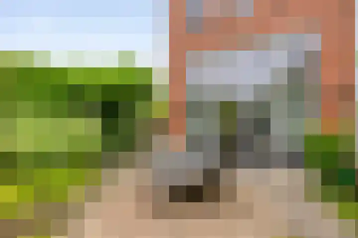 Vogelhei 2 Best thumbnail 35