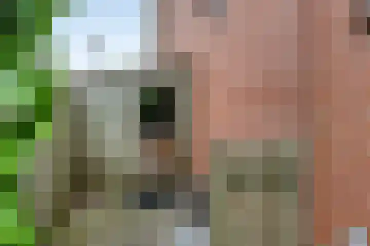 Vogelhei 2 Best thumbnail 36