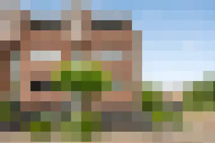 Vogelhei 2 Best thumbnail 38
