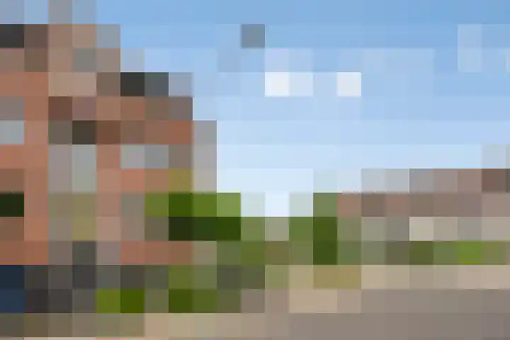 Vogelhei 2 Best thumbnail 39