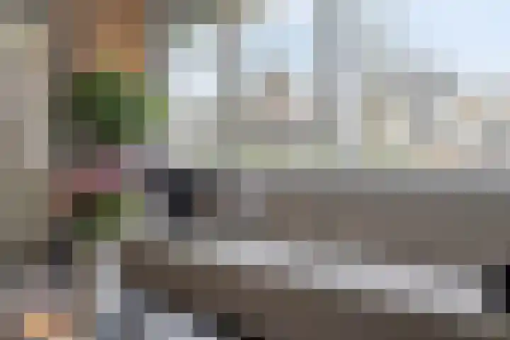 Vogelhei 31 Best thumbnail 13