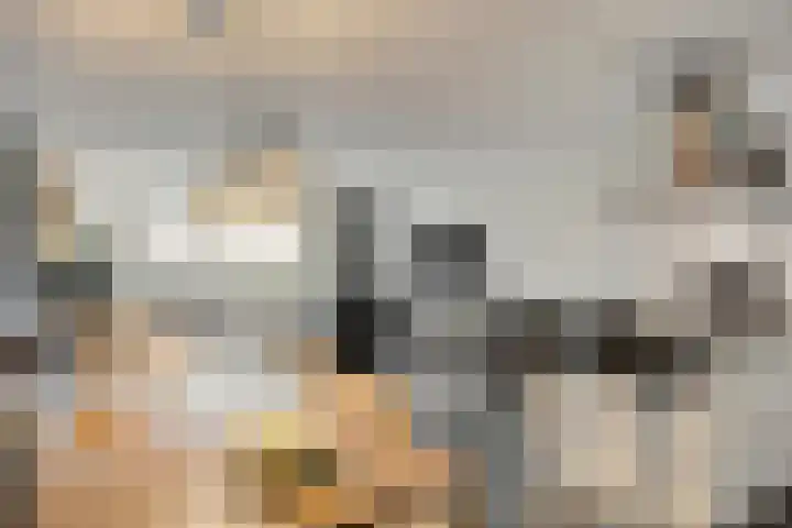 Vogelhei 31 Best thumbnail 17