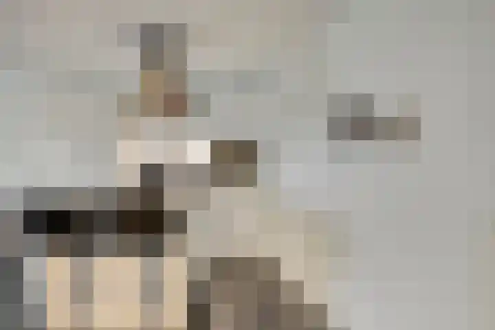 Vogelhei 31 Best thumbnail 18