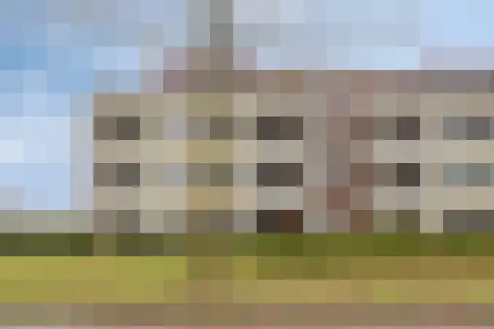 Vogelhei 31 Best thumbnail 33