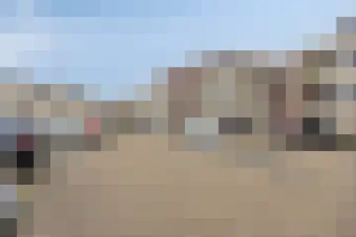 Vogelhei 31 Best thumbnail 34