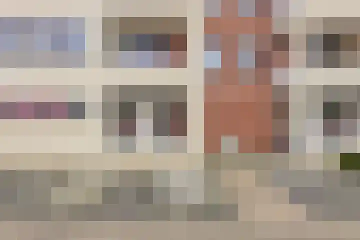 Vogelhei 31 Best thumbnail 36