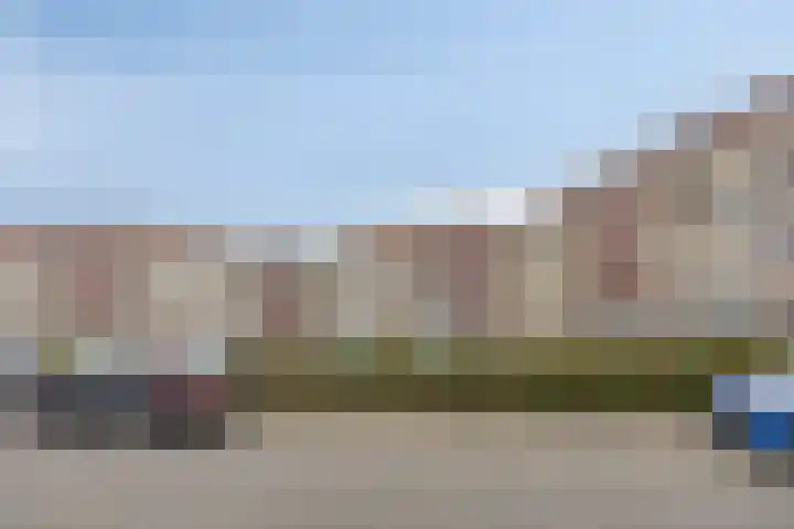 Vogelhei 31 Best thumbnail 37