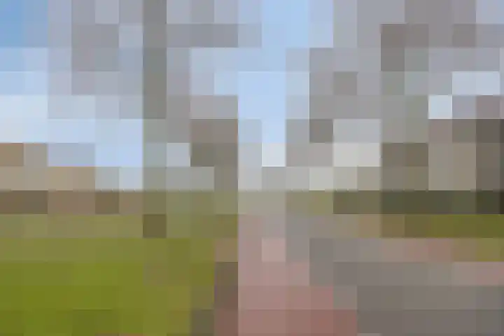 Vogelhei 31 Best thumbnail 40