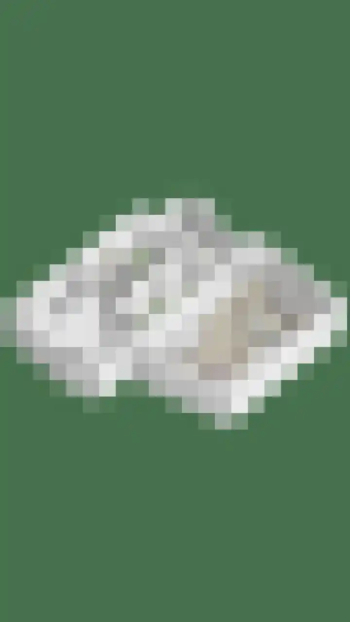 Vogelhei 31 Best thumbnail 46