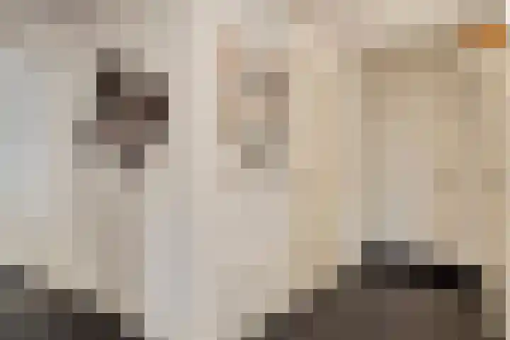 Vogelhei 31 Best thumbnail 8