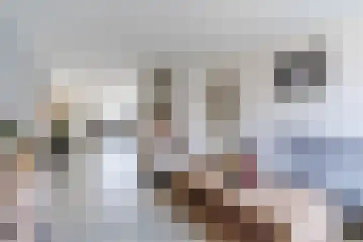 Vogelhei 32 Best thumbnail 12
