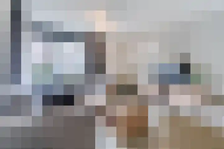 Vogelhei 32 Best thumbnail 14