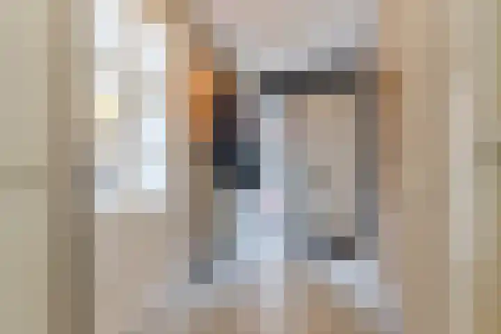 Vogelhei 32 Best thumbnail 26