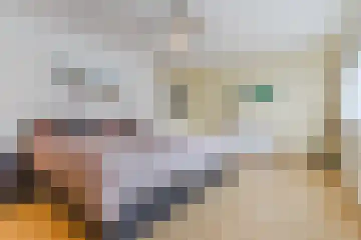 Vogelhei 32 Best thumbnail 30
