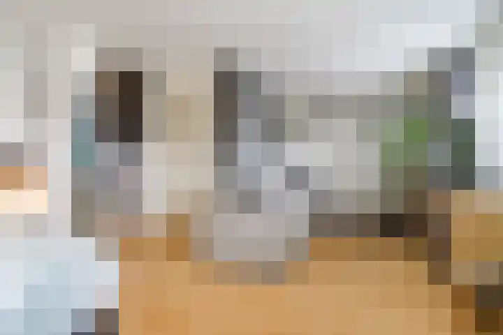 Vogelhei 32 Best thumbnail 32