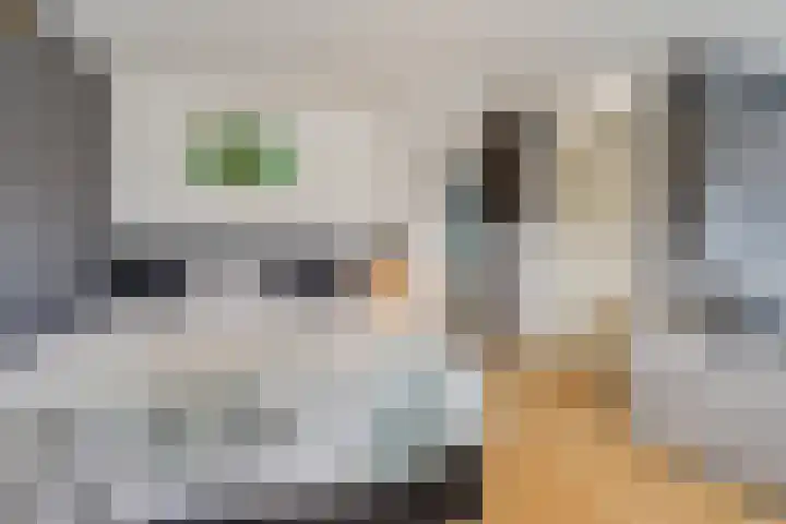 Vogelhei 32 Best thumbnail 33