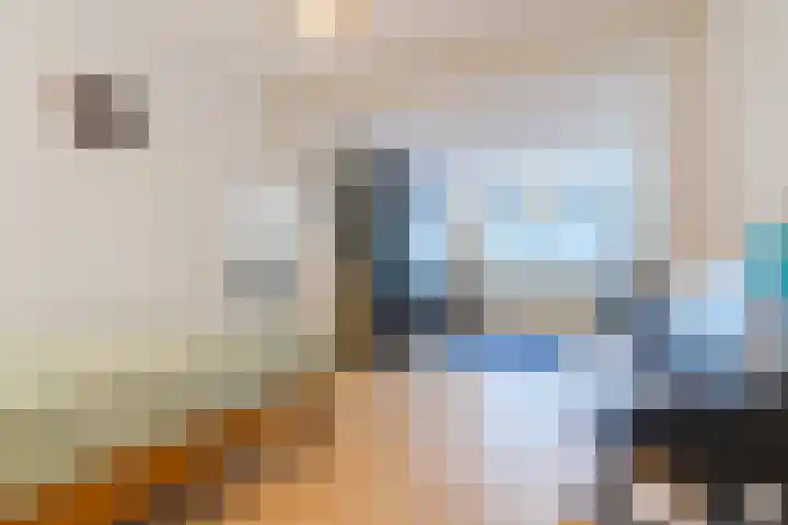 Vogelhei 32 Best thumbnail 36