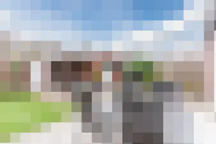 Vogelhei 32 Best thumbnail 53