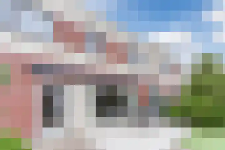 Vogelhei 32 Best thumbnail 56