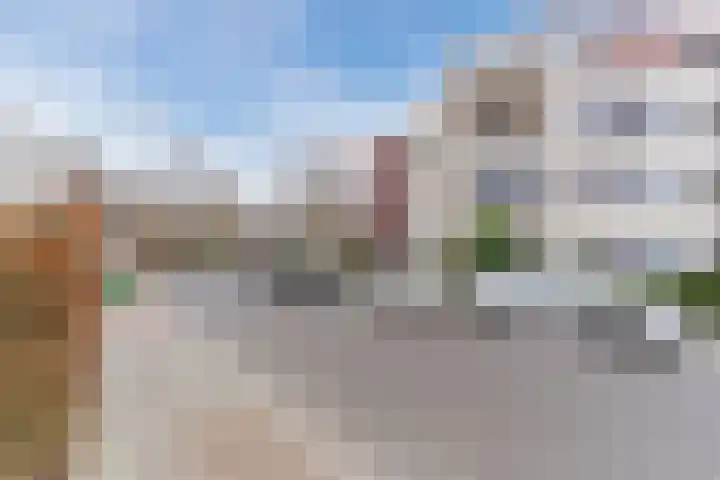 Vogelhei 32 Best thumbnail 57