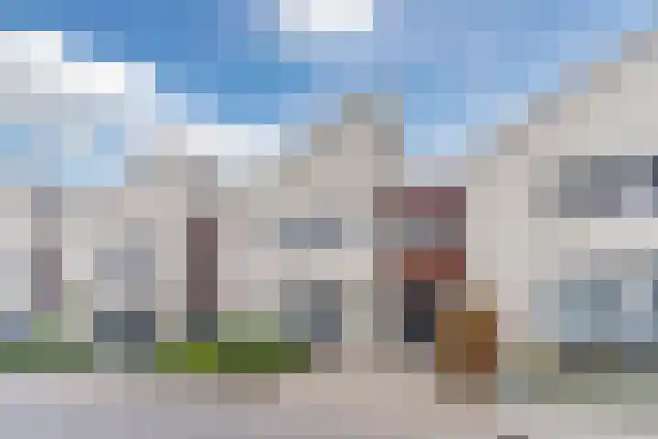 Vogelhei 32 Best thumbnail 7