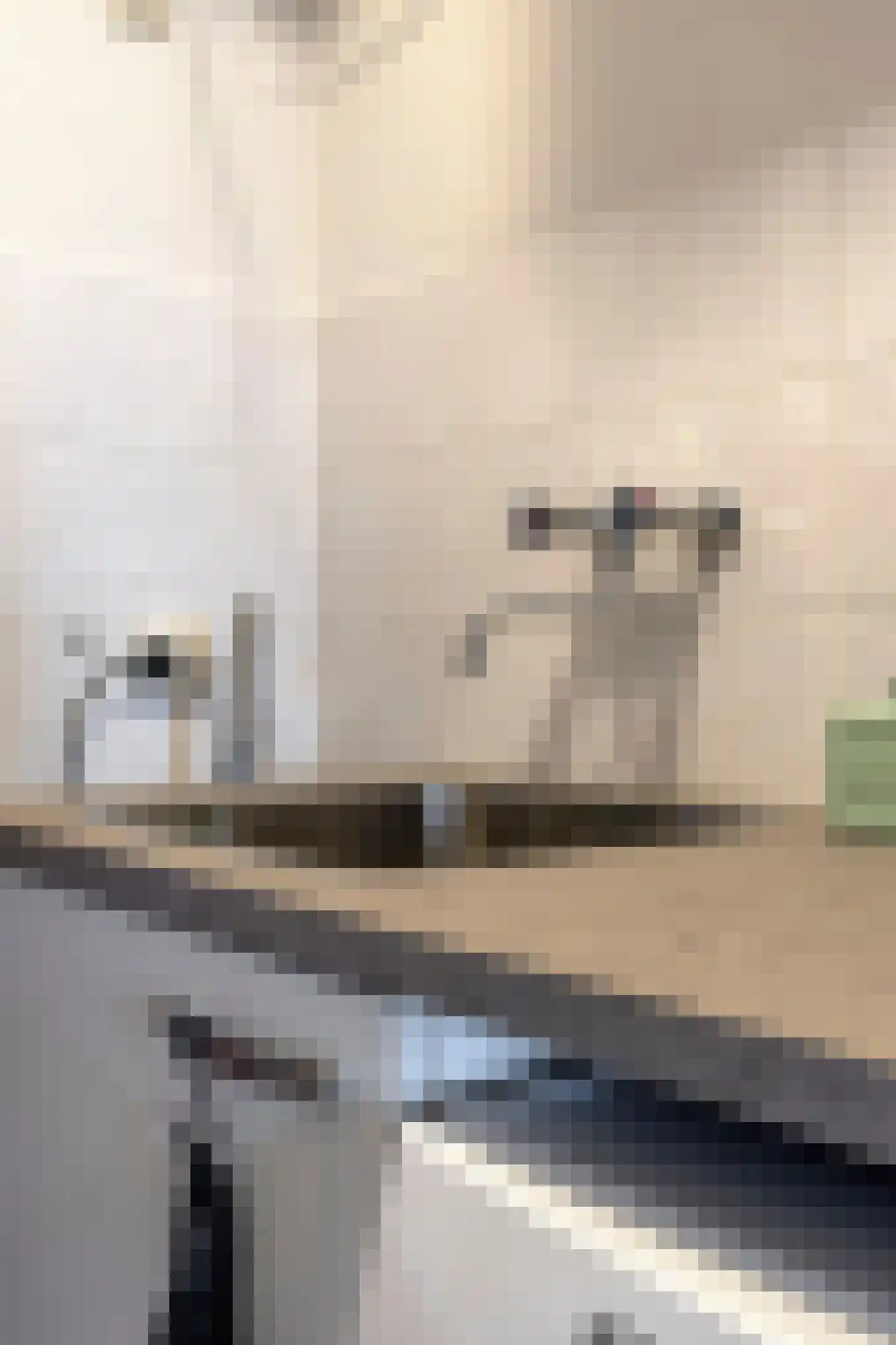 Vogelhei 43 Best thumbnail 30