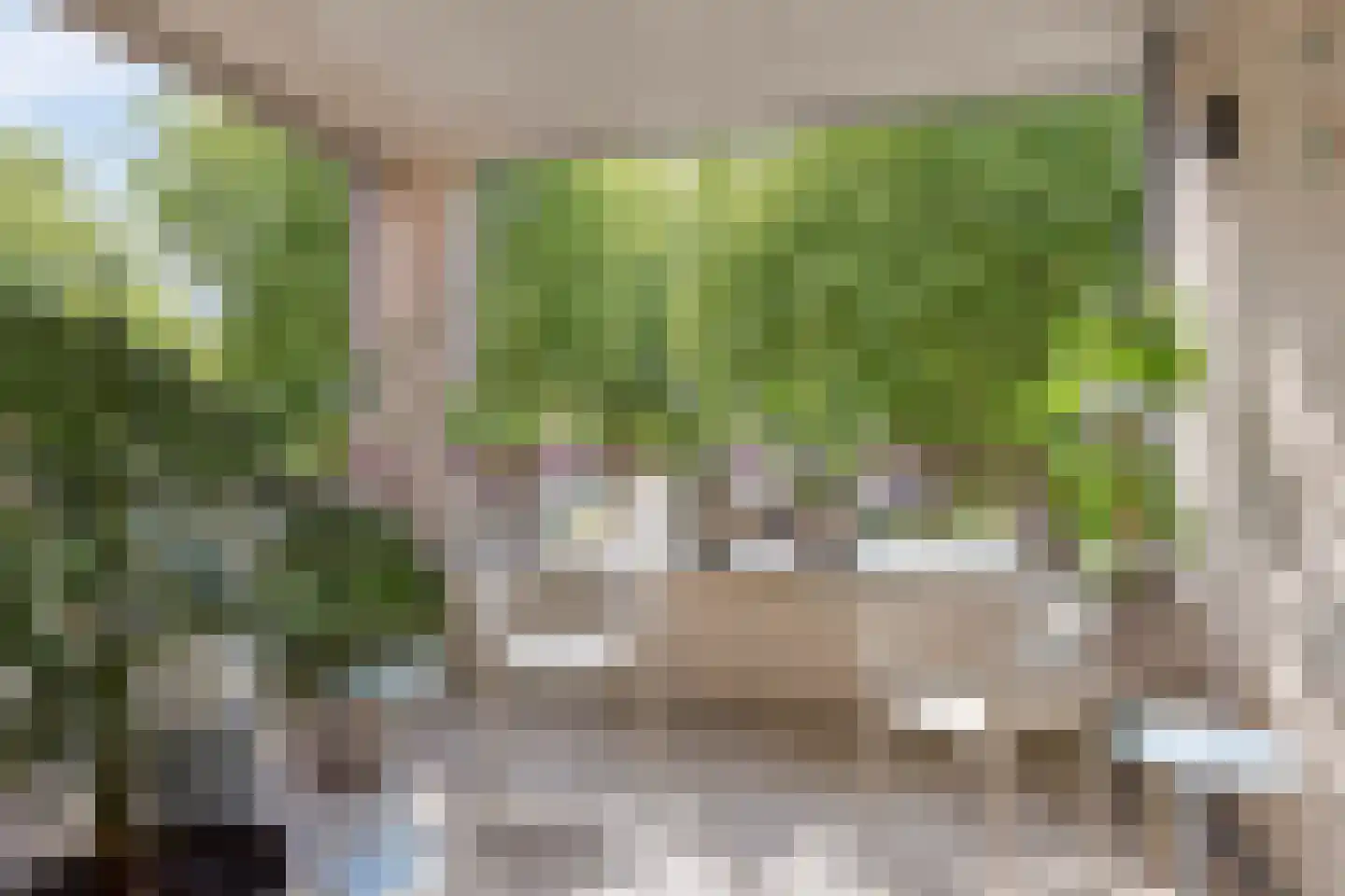 Vogelhei 43 Best thumbnail 32