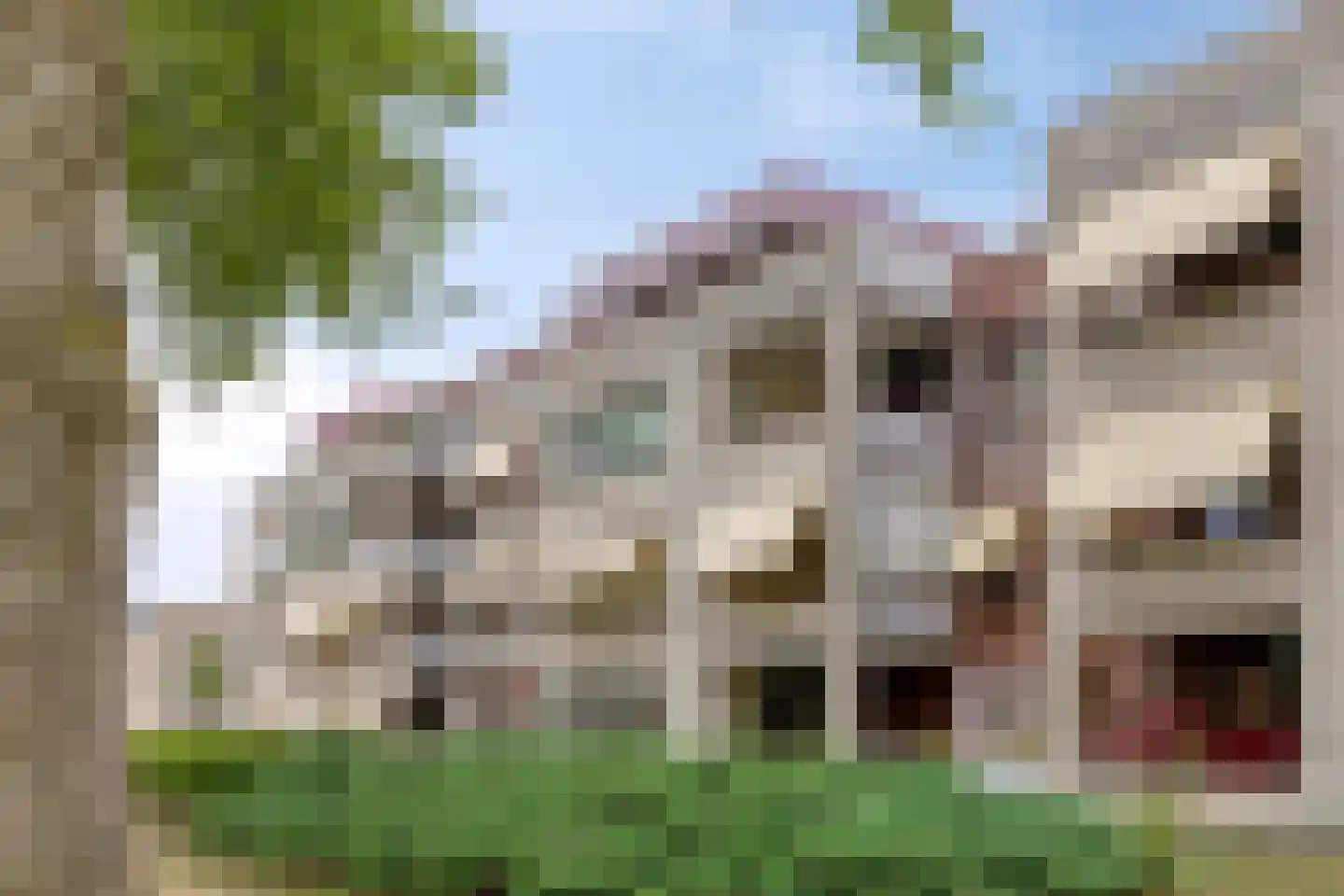 Vogelhei 43 Best thumbnail 40